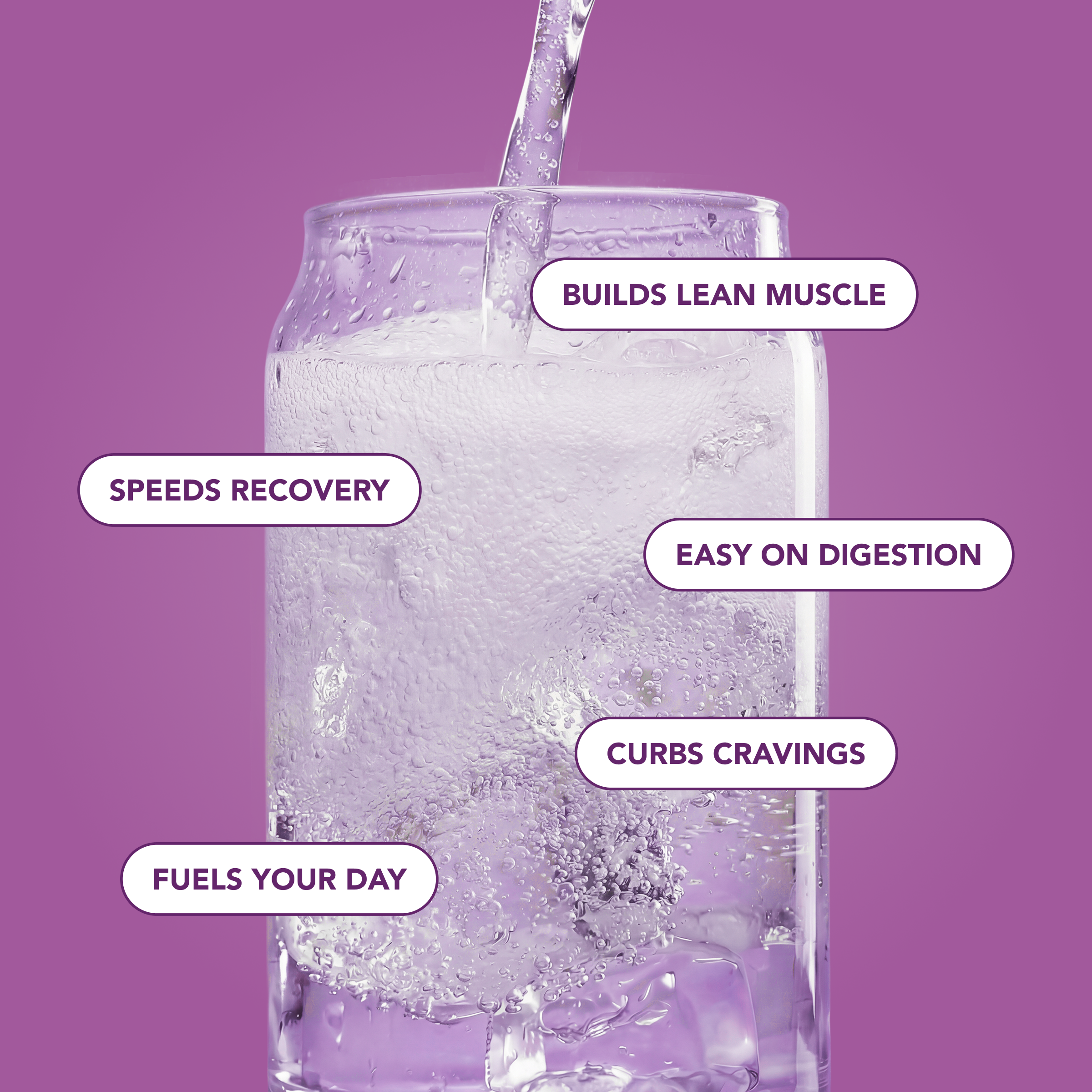 Clear Protein Soda: Classic Grape (12 Oz. | 12 Pack)